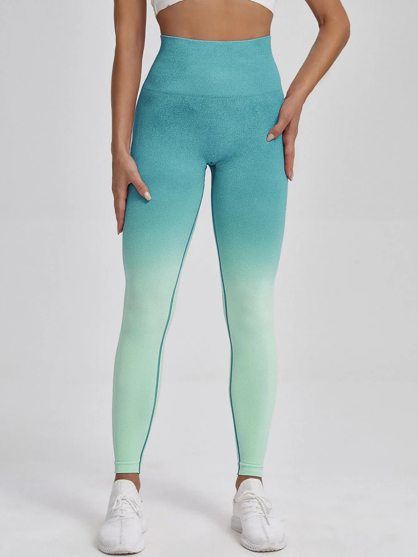 Ombre Print Wideband Waist Seamless Sports Leggings SS23